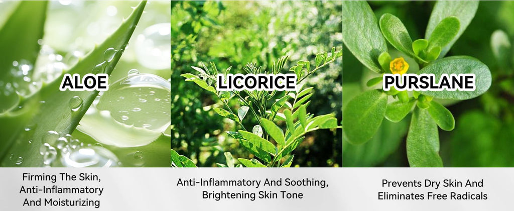 Lanbena Blackhead Remover Peel-Off Mask Kit